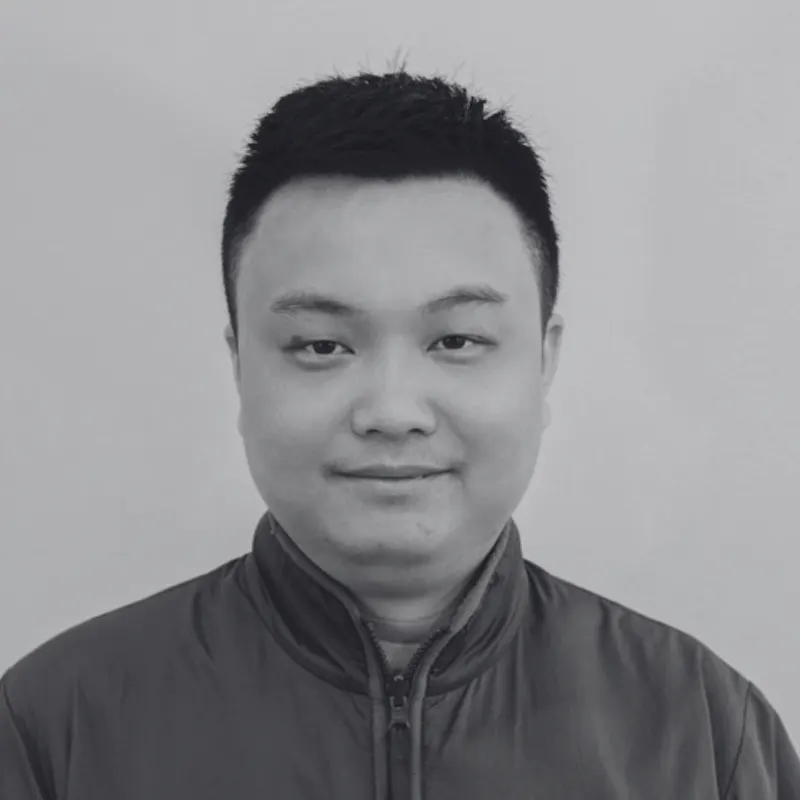 Portrait of Han, Strategy